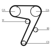 CONTINENTAL CTAM CT931 - Correa dentada