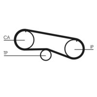 CONTINENTAL CTAM CT933 - Correa dentada