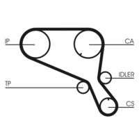 CONTINENTAL CTAM CT952 - Correa dentada