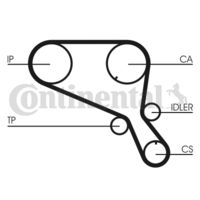 CONTINENTAL CTAM CT953 - Correa dentada