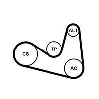 CONTINENTAL CTAM 6PK1180K2 - Juego de correas trapeciales poli V