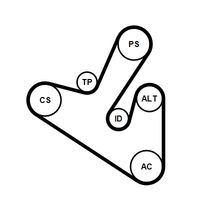 CONTINENTAL CTAM 6PK1710K1 - Juego de correas trapeciales poli V