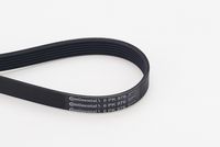 CONTINENTAL CTAM 6PK976 - Correa trapecial poli V