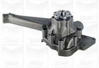 GRAF PA1325 - Material rotor de la bomba: Metal<br>Material junta: Papel<br>Material junta: Caucho<br>Material: Fundición de acero<br>Peso [kg]: 8,8<br>Artículo complementario/Información complementaria: con juntas<br>