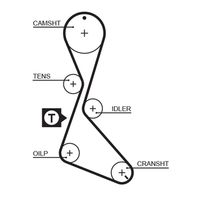 GATES 5130XS - Unidades accionadas: Árbol de levas<br>nº de motor hasta: 51891<br>Nº art. herramienta recomendada: GAT4390<br>Nº art. herramienta recomendada: STT-1<br>Material de las bielas: Fibra de vidrio<br>Material de las correas: Policloropreno (Neopreno)<br>Color: negro<br>Número de dientes: 124<br>Ancho [mm]: 19<br>División dientes [mm]: 9,525<br>Longitud [mm]: 1181<br>