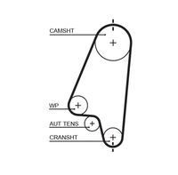 GATES 5310XS - Unidades accionadas: Árbol de levas<br>nº de motor hasta: 19311737<br>Nº art. herramienta recomendada: GATV501A<br>Nº art. herramienta recomendada: STT-1<br>Material de las bielas: Fibra de vidrio<br>Material de las correas: Policloropreno (Neopreno)<br>Color: negro<br>Número de dientes: 104<br>Ancho [mm]: 17<br>División dientes [mm]: 9,525<br>Longitud [mm]: 991<br>