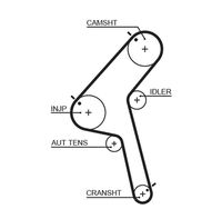 CONTINENTAL CTAM CT917 - Ancho [mm]: 30<br>Número de dientes: 145<br>Correas: con perfil redondeado de dientes<br>Peso [kg]: 0,270<br>