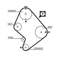 FAI AutoParts 30129 - Correa dentada