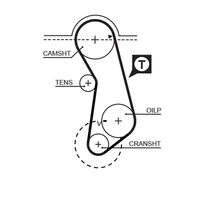 GATES 5016 - Ancho [mm]: 18<br>Número de dientes: 121<br>Correas: con perfil de dientes trpezoidal<br>Peso [kg]: 0,5<br>para OE N°: 056 109 119 A<br>