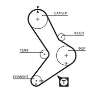 GATES 5039 - Ancho [mm]: 30<br>Número de dientes: 152<br>Correas: con perfil de dientes trpezoidal<br>Peso [kg]: 0,24<br>