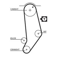 GATES 5053 - Ancho [mm]: 18<br>Número de dientes: 120<br>Correas: con perfil de dientes trpezoidal<br>Peso [kg]: 0,09<br>