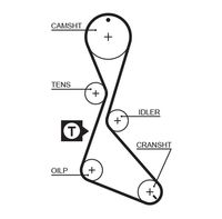 GATES 5056 - Unidades accionadas: Árbol de levas<br>nº de motor desde: 51892<br>Nº art. herramienta recomendada: GAT4390<br>Nº art. herramienta recomendada: STT-1<br>Material de las bielas: Fibra de vidrio<br>Material de las correas: Policloropreno (Neopreno)<br>Color: negro<br>Número de dientes: 125<br>Ancho [mm]: 19<br>División dientes [mm]: 9,525<br>Longitud [mm]: 1191<br>