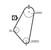 GATES 5083 - Unidades accionadas: Árbol de levas<br>nº de motor desde: 19311738<br>Nº art. herramienta recomendada: GATV501A<br>Material de las bielas: Fibra de vidrio<br>Material de las correas: Policloropreno (Neopreno)<br>Color: negro<br>Número de dientes: 111<br>Ancho [mm]: 17<br>División dientes [mm]: 9,525<br>Longitud [mm]: 1057<br>