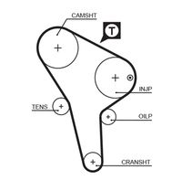 GATES 5176 - Ancho [mm]: 25<br>Número de dientes: 135<br>Correas: con perfil de dientes trpezoidal<br>Peso [kg]: 0,5<br>