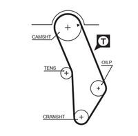 GATES 5183XS - Ancho [mm]: 25<br>Número de dientes: 147<br>Correas: con perfil redondeado de dientes<br>Peso [kg]: 0,14<br>