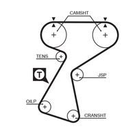 GATES 5244XS - Unidades accionadas: Árbol de levas<br>Variante de equipamiento: HSN<br>para OE N°: 7700743777<br>Número de dientes: 148<br>Ancho [mm]: 25,4<br>