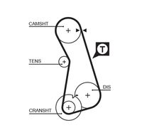 GATES 5308 - Ancho [mm]: 18<br>Número de dientes: 124<br>Correas: con perfil de dientes trpezoidal<br>Peso [kg]: 0,09<br>