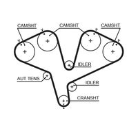 GATES 5453XS - Ancho [mm]: 30<br>Número de dientes: 225<br>Correas: con perfil redondeado de dientes<br>Peso [kg]: 0,280<br>