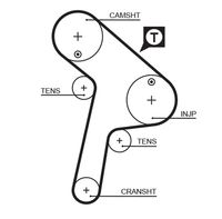 GATES 5471XS - Ancho [mm]: 32<br>Número de dientes: 147<br>Correas: con perfil de dientes trpezoidal<br>Peso [kg]: 0,3<br>