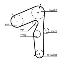 GATES 5462XS - Ancho [mm]: 24<br>Número de dientes: 193<br>Correas: con perfil de dientes trpezoidal<br>Peso [kg]: 0,22<br>