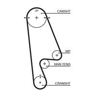 GATES 5480XS - Unidades accionadas: Árbol de compensación<br>Nº art. herramienta recomendada: GAT4656<br>Material de las bielas: Fibra de vidrio<br>Material de las correas: HNBR (Acrilo Nitrilo Butadieno Hidrogenado)<br>Color: negro<br>Número de dientes: 70<br>Ancho [mm]: 16<br>División dientes [mm]: 9,525<br>Longitud [mm]: 667<br>