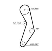 GATES 5503XS - Ancho [mm]: 22<br>Número de dientes: 124<br>Correas: con perfil de dientes trpezoidal<br>Peso [kg]: 0,116<br>