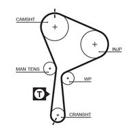 GATES 5552XS - Ancho [mm]: 26<br>Número de dientes: 132<br>Superficie: recubierto con PTFE (politetrafluoroetileno)<br>Correas: con perfil redondeado de dientes<br>Peso [kg]: 0,16<br>