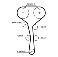 GATES 5532XS - Ancho [mm]: 27<br>Número de dientes: 128<br>Correas: con perfil redondeado de dientes<br>Peso [kg]: 0,5<br>