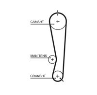 GATES 5591XS - Unidades accionadas: Árbol de levas<br>Variante de equipamiento: HSN<br>para OE N°: 1351497201<br>Número de dientes: 111<br>Ancho [mm]: 25,4<br>