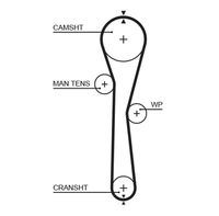 GATES 5577XS - Ancho [mm]: 23,4<br>Número de dientes: 95<br>Correas: con perfil redondeado de dientes<br>Peso [kg]: 0,1<br>