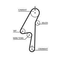 GATES 5580XS - Ancho [mm]: 28<br>Número de dientes: 132<br>Correas: con perfil redondeado de dientes<br>Peso [kg]: 0,17<br>