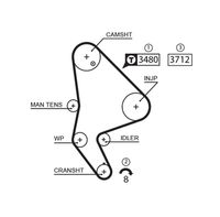 GATES 5590XS - Ancho [mm]: 25,4<br>Número de dientes: 143<br>Correas: con perfil de dientes trpezoidal<br>Peso [kg]: 0,16<br>