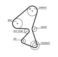 GATES 5598XS - Código de motor: 9HS (DV6TED4BU)<br>Ancho [mm]: 25<br>Número de dientes: 137<br>Correas: con perfil redondeado de dientes<br>Peso [kg]: 0,14<br>