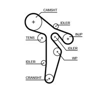 GATES 5648XS - Unidades accionadas: Árbol de levas<br>Código de motor: BMN<br>Nº art. herramienta recomendada: GAT4840A<br>Nº art. herramienta recomendada: GAT4844<br>Material de las bielas: Fibra de vidrio<br>Material de las correas: HNBR (Acrilo Nitrilo Butadieno Hidrogenado)<br>Color: negro<br>Número de dientes: 141<br>Ancho [mm]: 30<br>División dientes [mm]: 9,525<br>Longitud [mm]: 1343<br>