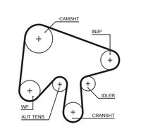 GATES 5630XS - Ancho [mm]: 30<br>Número de dientes: 150<br>Correas: con perfil redondeado de dientes<br>Peso [kg]: 0,200<br>