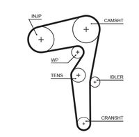 GATES 5646XS - no para norma emisión: Euro 6d<br>Ancho [mm]: 24<br>Número de dientes: 194<br>Superficie: revestido<br>Correas: con perfil de dientes trpezoidal<br>Peso [kg]: 0,188<br>