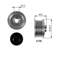 GATES OAP7032 - Rueda libre alternador - DriveAlign™