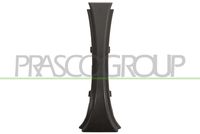 PRASCO BM1002002 - 