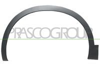 PRASCO DS7101581 - 