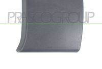 PRASCO DS9521416 - año construcción desde: 09/2007<br>año construcción hasta: 12/2015<br>Lado de montaje: Delante, derecha<br>Color: gris oscuro<br>Superficie: graneado<br>Artículo complementario / información complementaria 2: con lámina adhesiva<br>