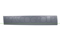 PRASCO DS9521453 - año construcción desde: 09/2007<br>año construcción hasta: 12/2015<br>Lado de montaje: Delante, izquierda<br>Color: gris oscuro<br>Superficie: graneado<br>Artículo complementario / información complementaria 2: con lámina adhesiva<br>