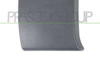 PRASCO DS9521415 - Listón embellecedor/protector, puerta