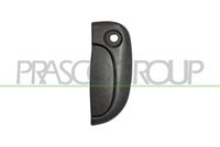 PRASCO DS9178001 - Manecilla exterior de la puerta