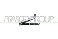 PRASCO FT0173704 - Referencia artículo par: FT0173704<br>Lado de montaje: Delante, derecha<br>