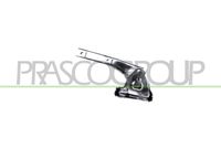 PRASCO FT1333703 - 