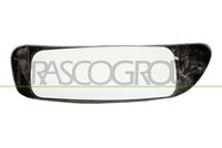 PRASCO FT9107534 - año construcción hasta: 12/2014<br>Referencia artículo par: FT9107534<br>Lado de montaje: derecha<br>Sección: parte inferior<br>Retrovisor exterior/interiror: convexo<br>