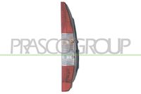 PRASCO FT9084054 - Piloto posterior