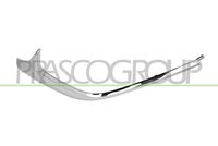 PRASCO MZ6021243 - 