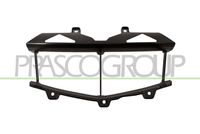 PRASCO MZ3102102 - Soporte, panal de radiador