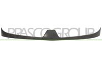 PRASCO RN9172021 - Panal de radiador